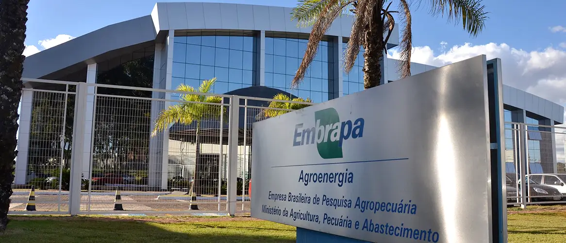 Concurso Embrapa: edital publicado com 1.027 vagas para todos os níveis