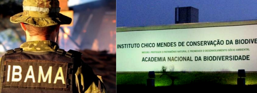 Concurso Ibama e ICMBio: relatório aponta déficit de mais de 2 mil cargos