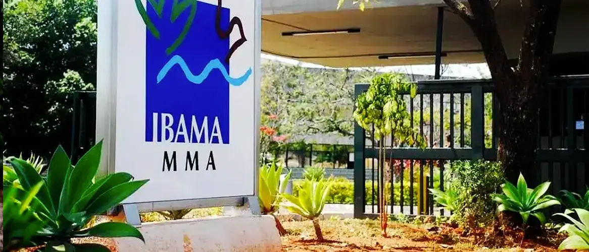 Concurso Ibama: 2.201 vagas solicitadas para analista
