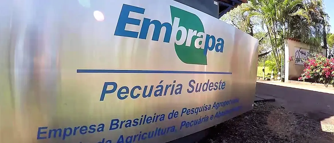 Concurso Embrapa: edital ficará para setembro